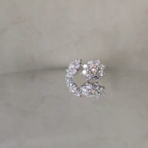 Kamini Flower, Moissanite simple earrings - Image 2