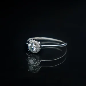 Platinum Round Bun, Moissanite Diamond Ring - Image 3