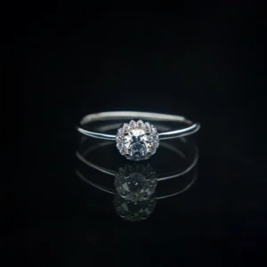 Platinum Round Bun, Moissanite Diamond Ring - Image 1