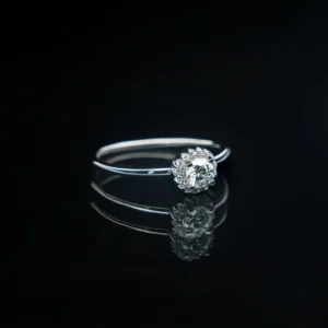 Platinum Round Bun, Moissanite Diamond Ring - Image 2